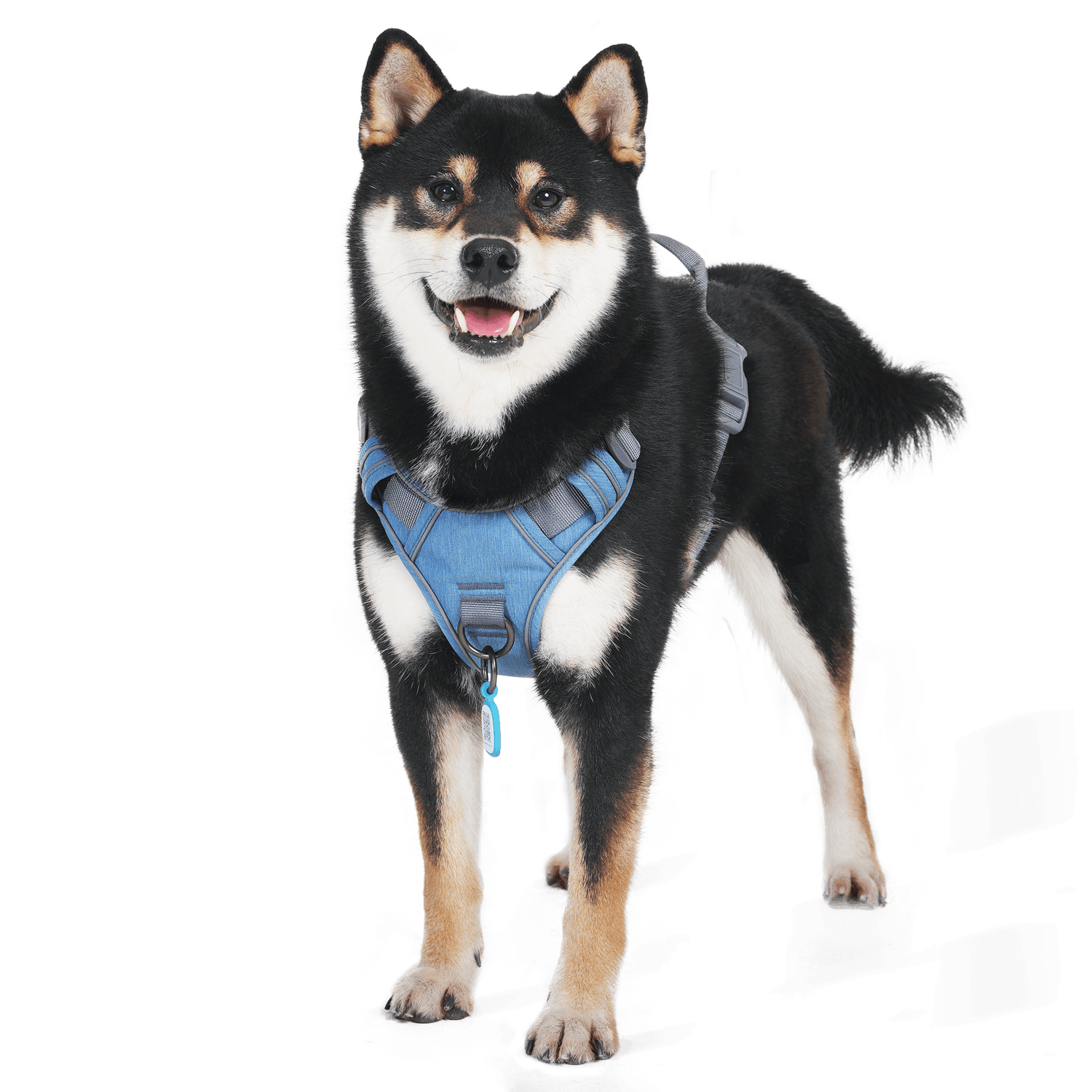 No Pull Dog Harness with Pet ID Tag - PAWAii